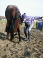 /album/vrijheidsdressuur/a543635-596297220396181-828370828-n-jpg/
