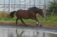/album/poezie-in-beweging/a313500-282986321727274-46604411-n-jpg/